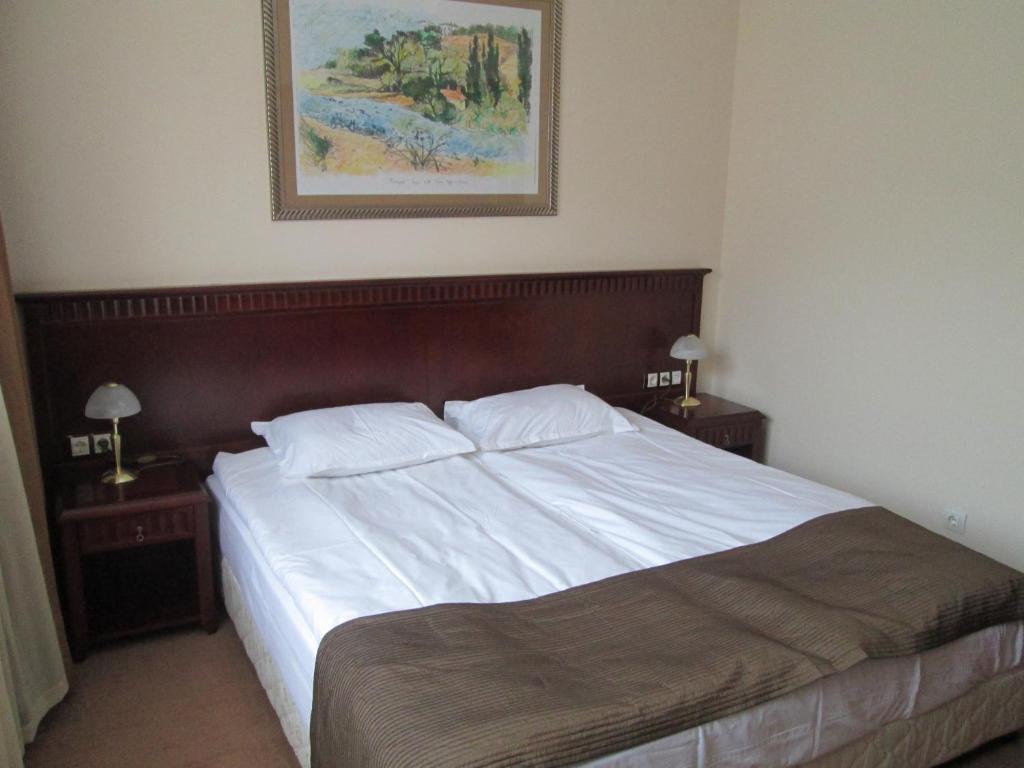Downtown Alexander Services Apartments Bansko Rom bilde
