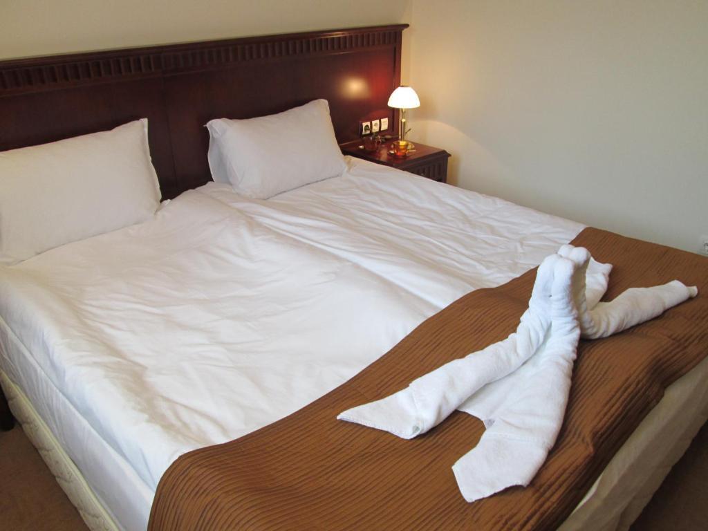 Downtown Alexander Services Apartments Bansko Rom bilde